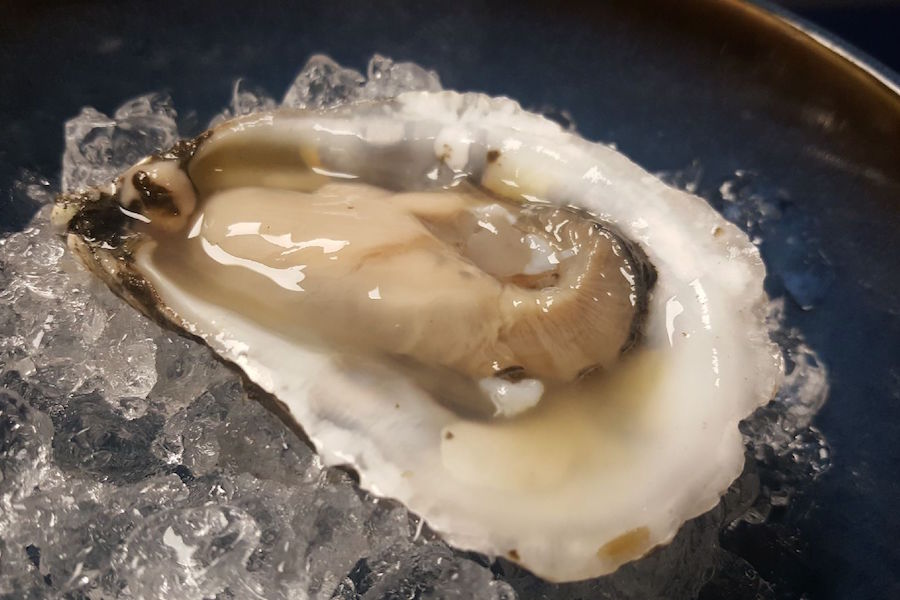 largest oyster pearl