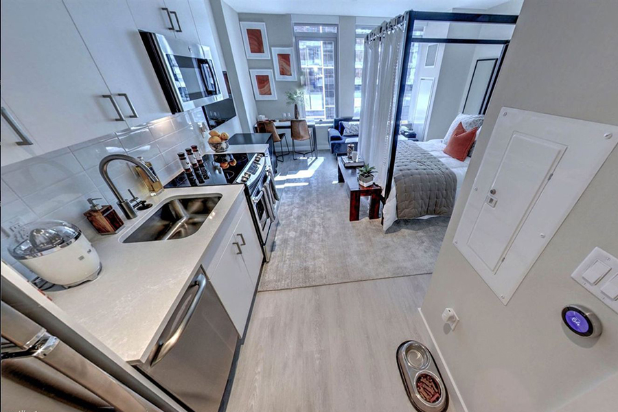 Five Nice Pet-Friendly Apartments for Rent in Boston