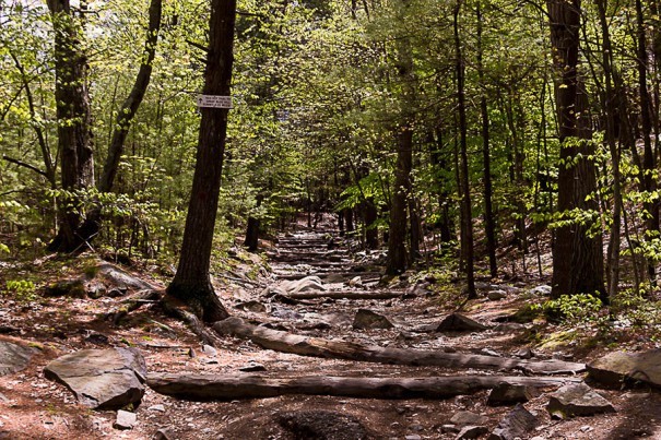 Grab a Buddy and Hit One of These Mountain Bike Trails Near Boston