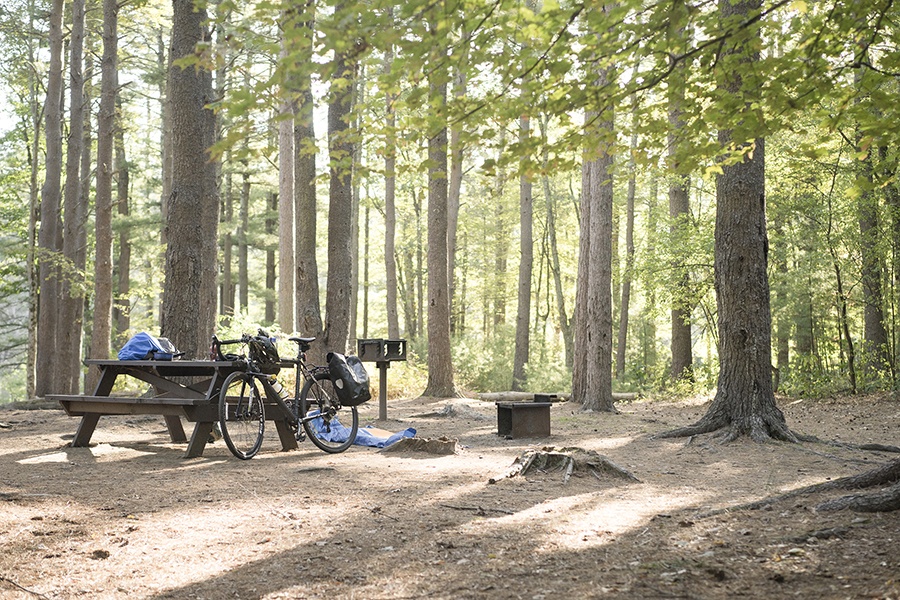 harold parker state forest mountain biking