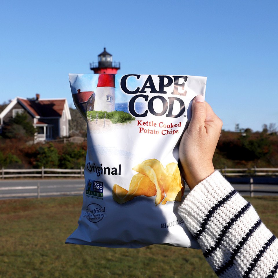 8-potato-chip-facts-and-trivia-questions-boston-magazine