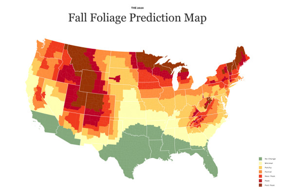 Use This Interactive Fall Foliage 2020 Map to Plan Your Next Getaway