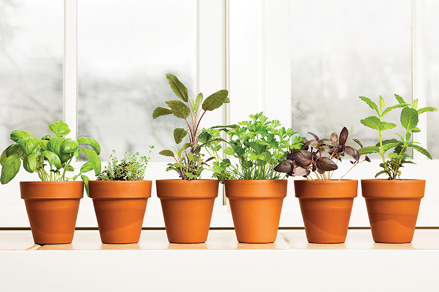 window garden