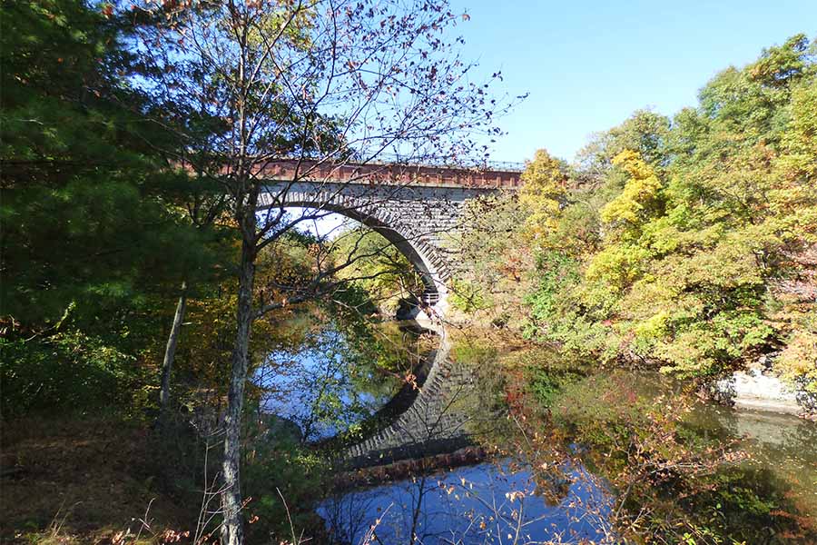 echo bridge