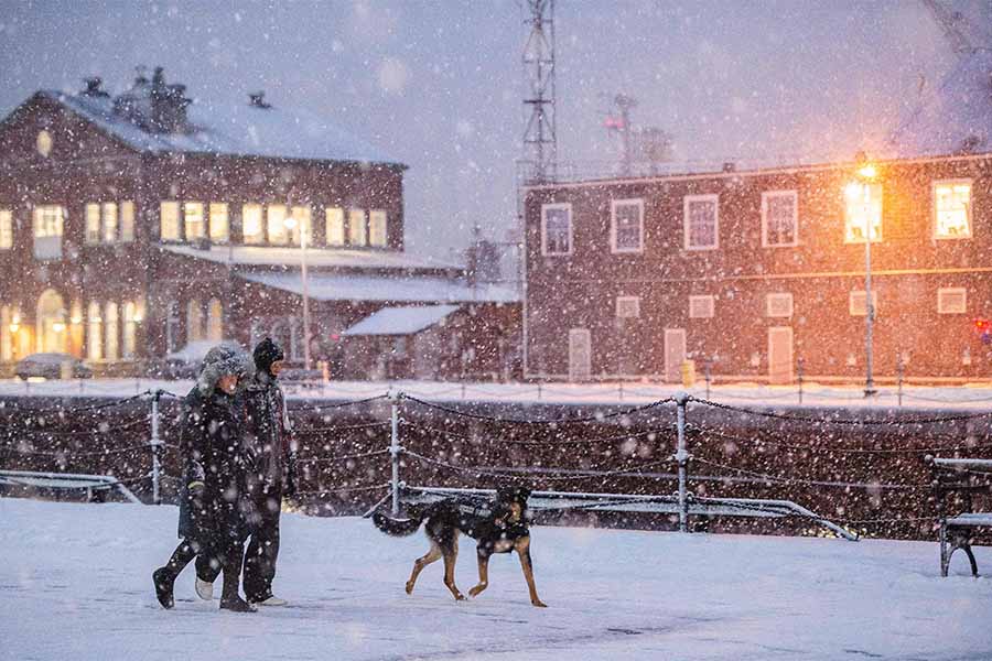 winter walk boston