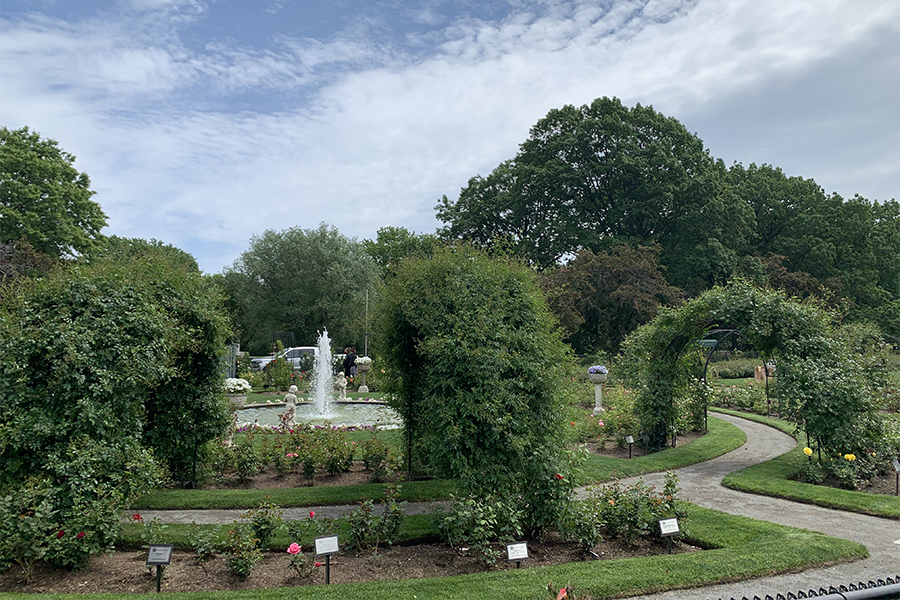 kelleher rose garden