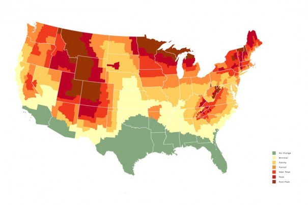 Jumpstart Your 2021 Fall Foliage Day Trip Plans with this Interactive Map