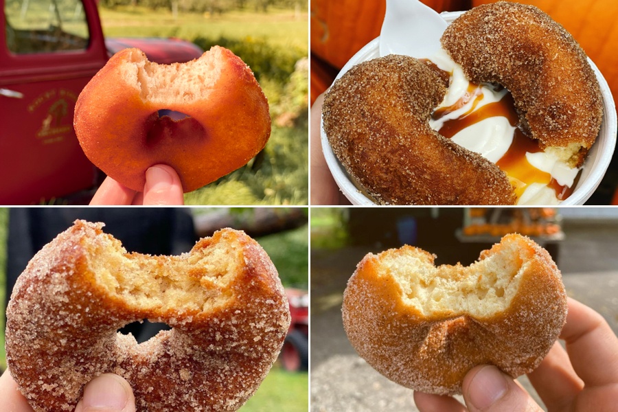 cider donut map