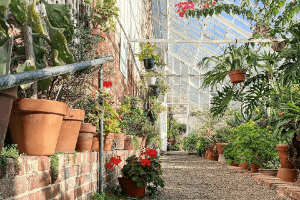lyman estate greenhouse