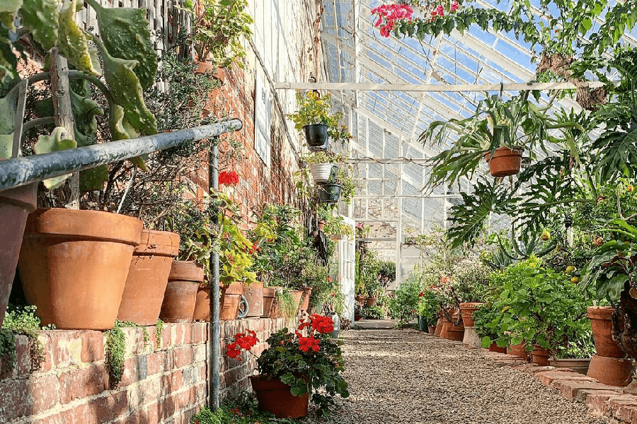 lyman estate greenhouse