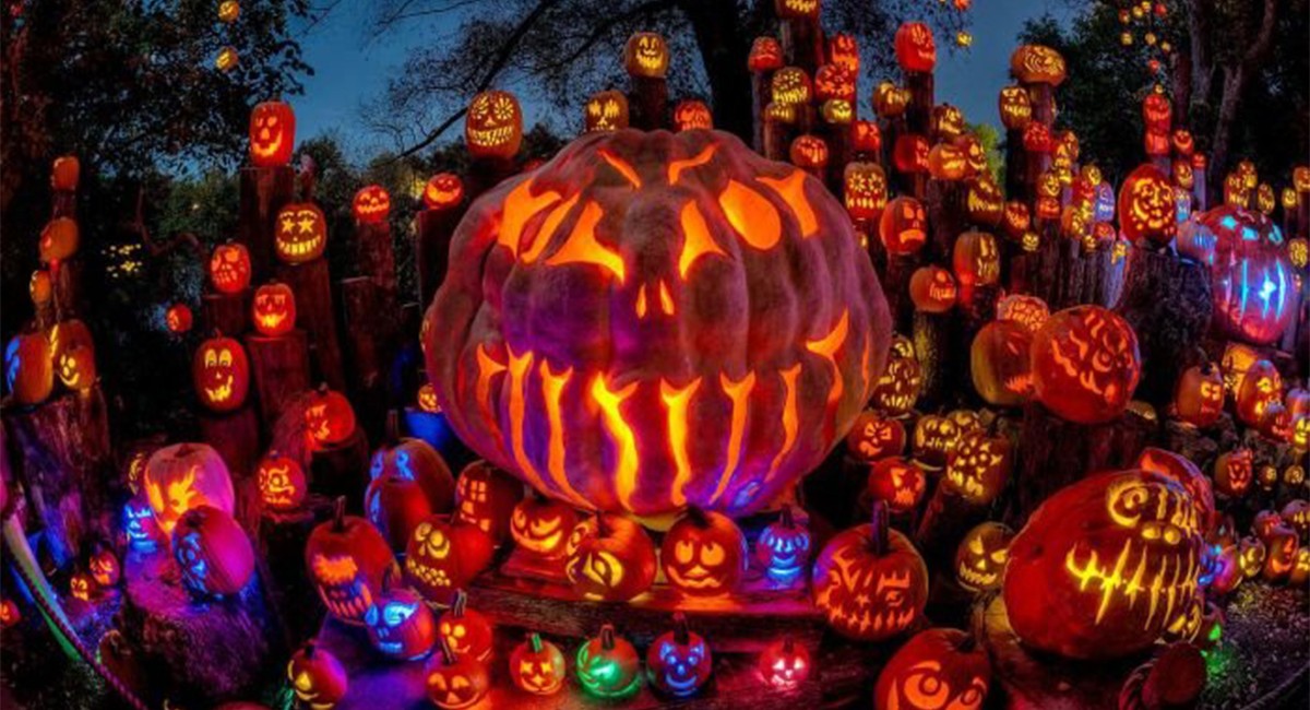 See Thousands of Lit Up JackOLanterns at the Roger Williams Zoo