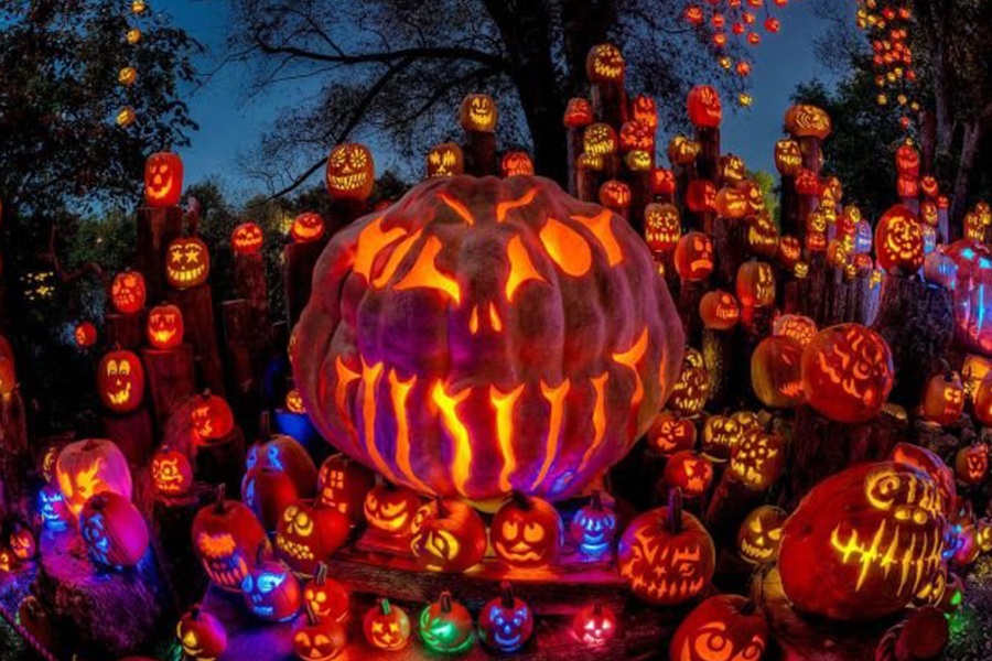 Colorful glowing jack-o-lanterns.