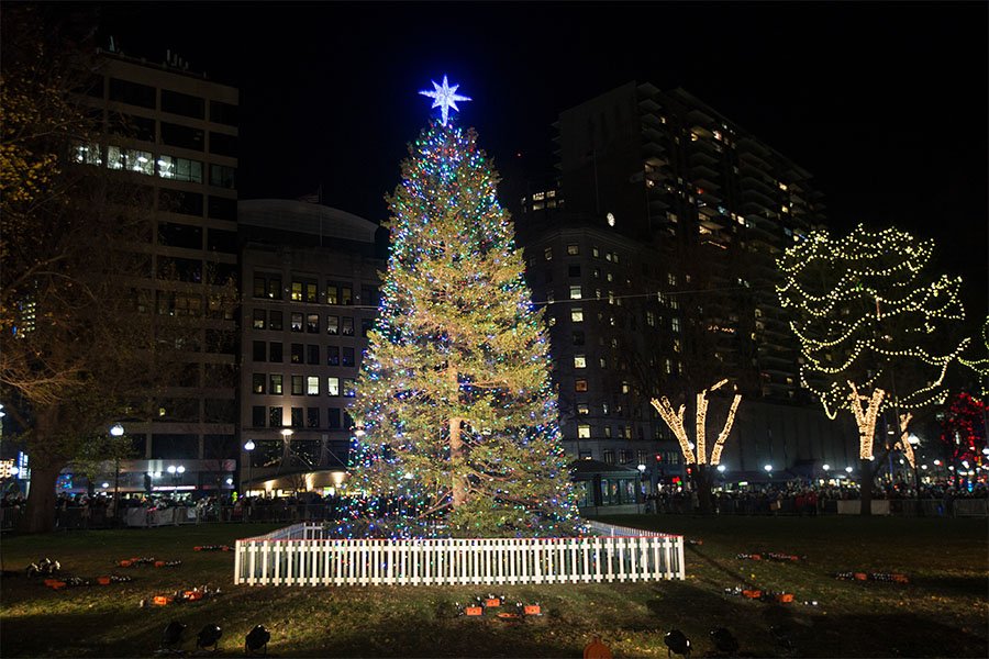 boston common christmas tree