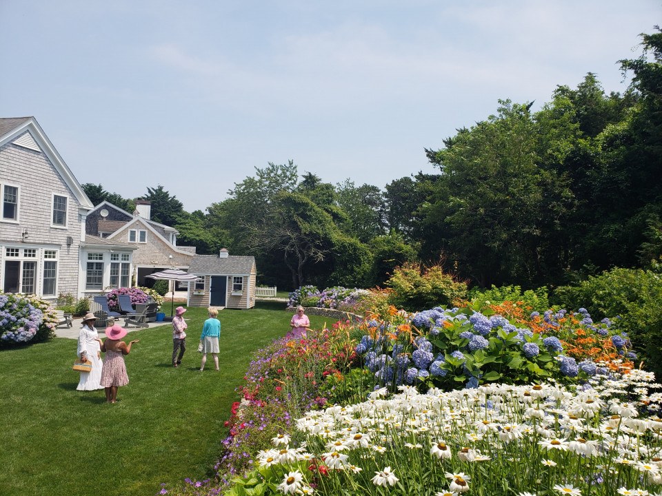 Cape Cod Hydrangea Fest 2022 Everything You Need to Know