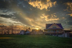 hillstead farms brewing