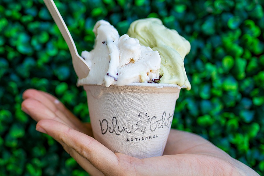 A hand holds up a paper cup of gelato in front of a leafy background. There are two scoops—one white with chocolate chips, one pale green.