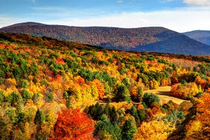 colorful foliage in the berkshires