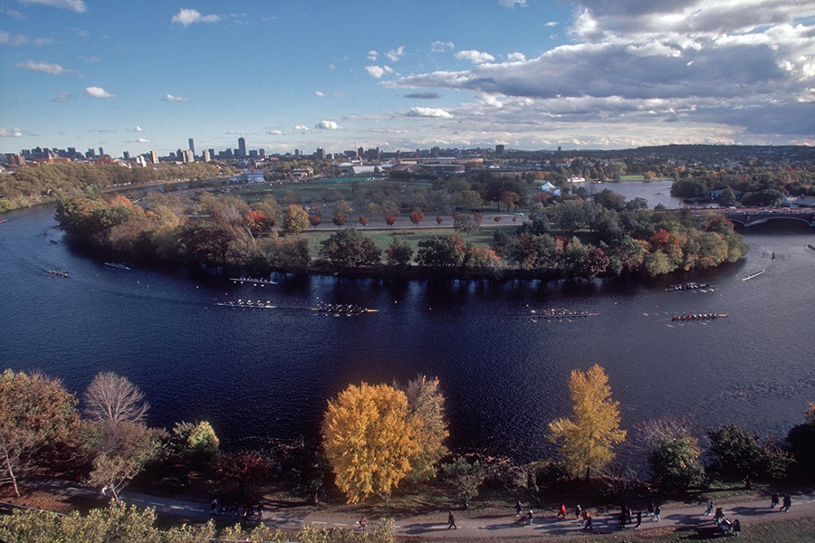 Distant view of rowers in shells on the Charles River with some fall foliage visible on either side.