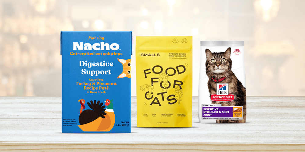 5 Top Cat Foods for Sensitive Stomach How To Help Your Cat Feel