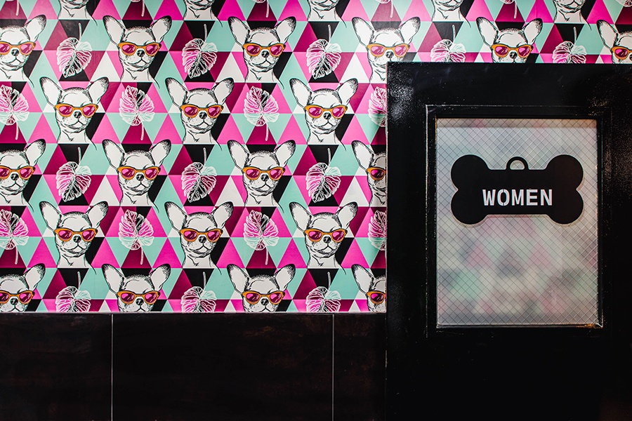 Bright wallpaper features chihuahuas in sunglasses, tropical leaf outlines, and a geometric design. A bathroom door has a dog bone-shaped sign that says "women."