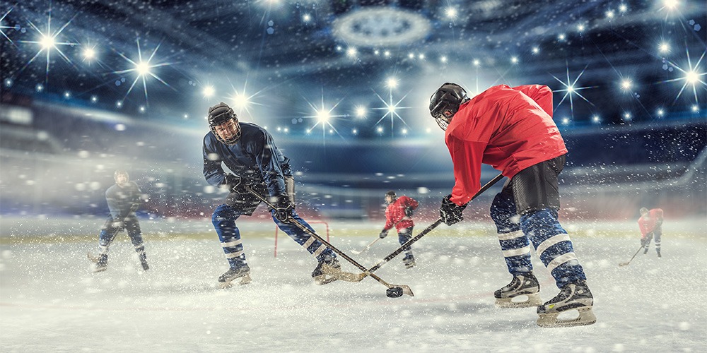 Ice Hockey Player Cant Check This Funny Hockey Pillow Case Cover