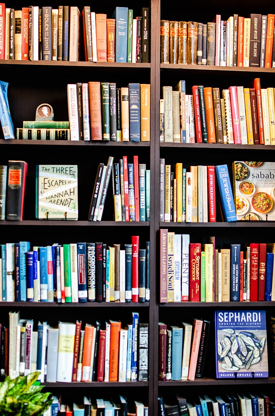 A bookshelf is full of books about Judaism and by Jewish authors.
