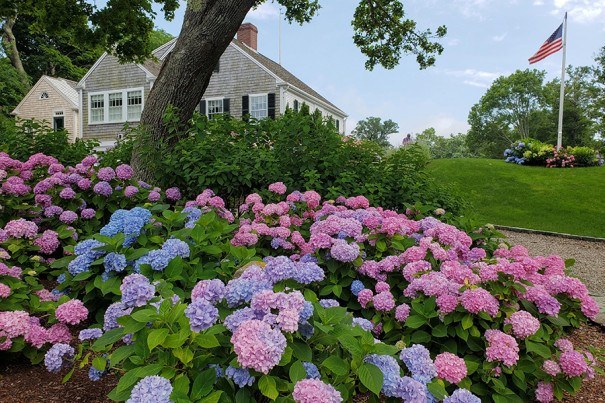 gardens to visit on cape cod