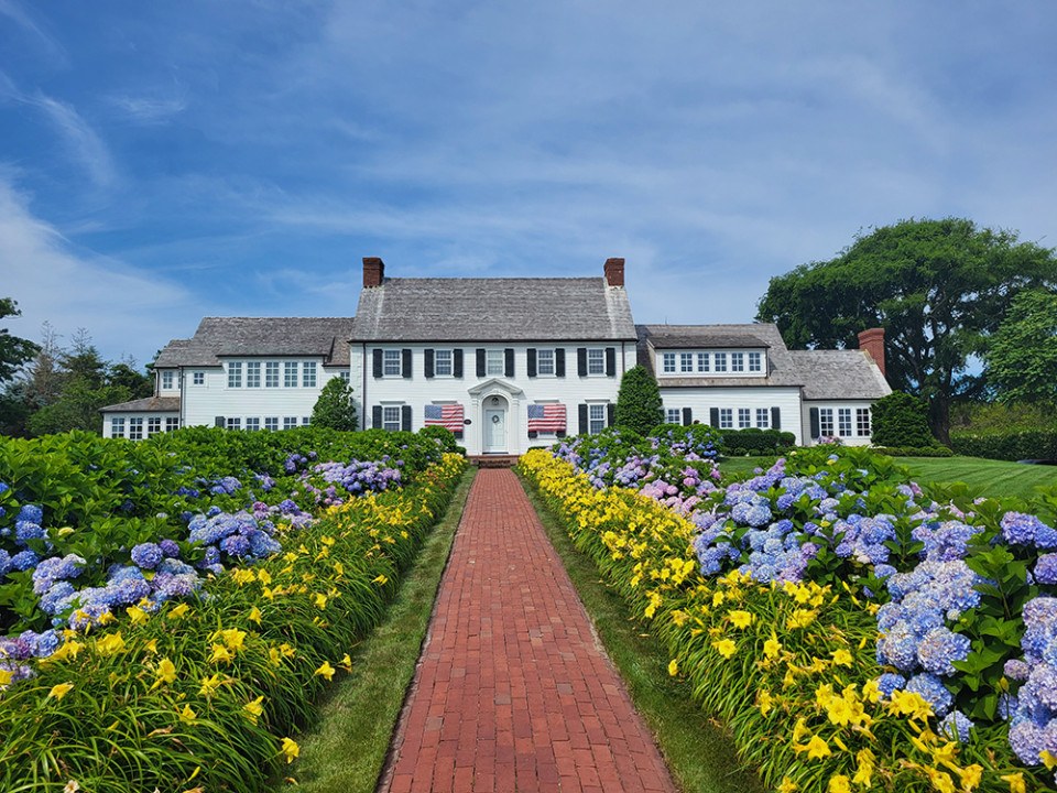 How to Make the Most of Cape Cod’s Hydrangea Season