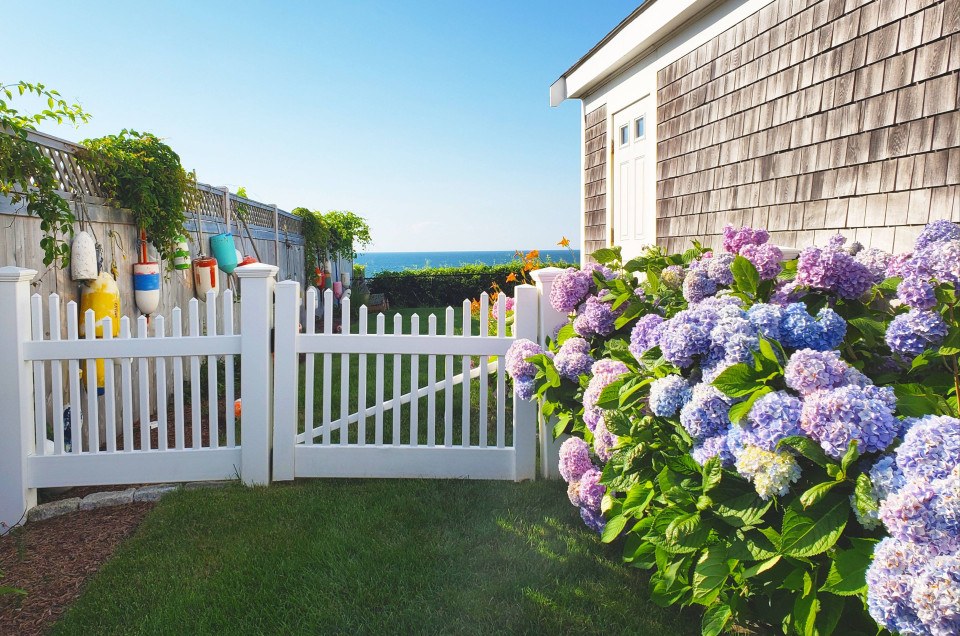 How to Make the Most of Cape Cod’s Hydrangea Season