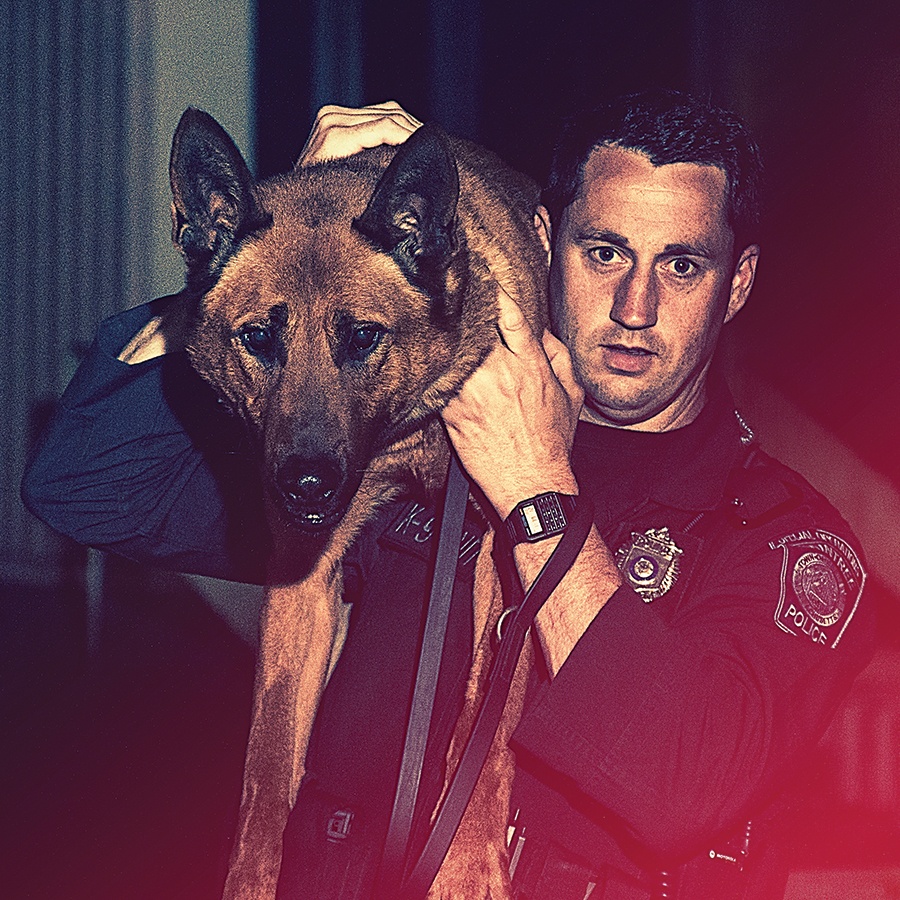 The Heartrending Tale of Kitt the K-9 Unit Dog and His Cop Partner picture
