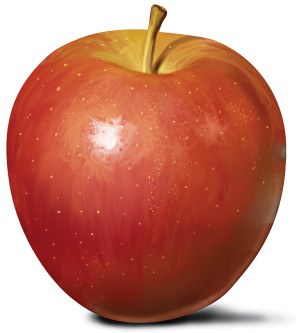Red Delicious Apples from New York, 4 lbs.