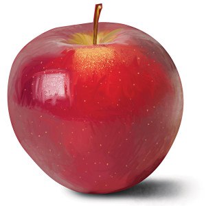 Macintosh Apples  Future PoultryMarket