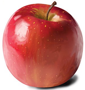 https://cdn10.bostonmagazine.com/wp-content/uploads/sites/2/2023/09/apples_4-300x317.jpg