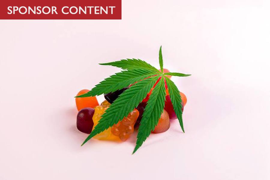 Learn Edibles Pros and Cons