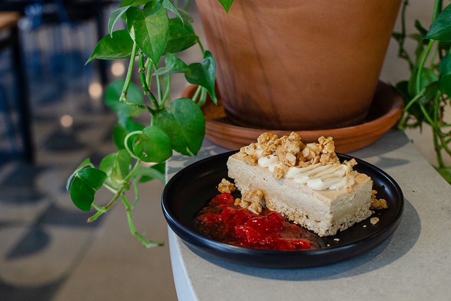 A rectangle of peanut butter pie sits on a counter next to a potted plant.