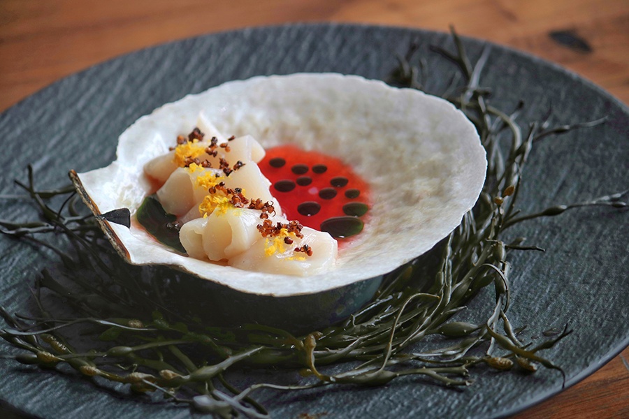 Raw slices of scallop topped with delicate garnishes are plated carefully within the scallop shell on a slate plate.