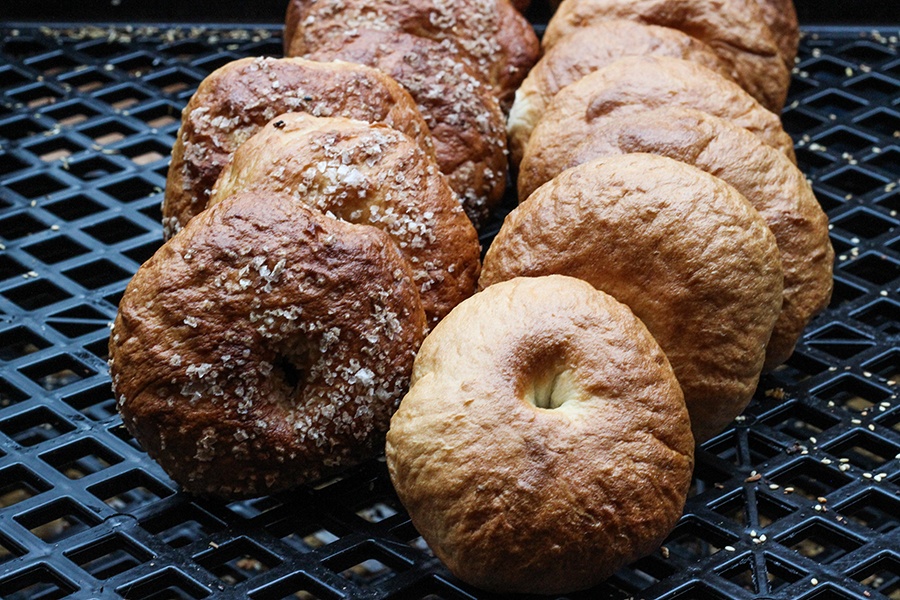 Two lines of bagels - some topped with salt, some plain - sit in a black plastic bin.