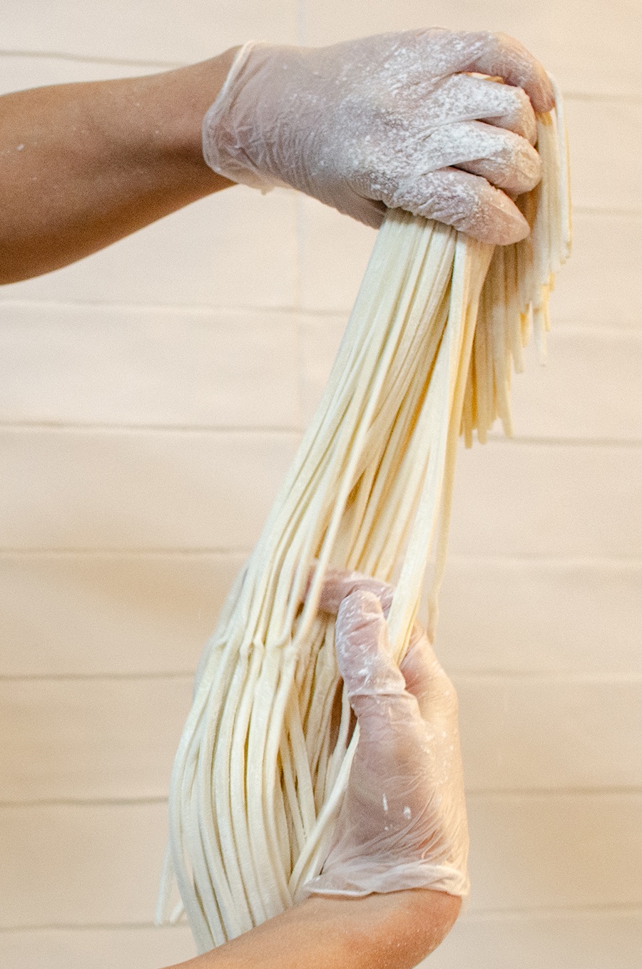 Two gloved hands hold a batch of freshly cut udon noodles.
