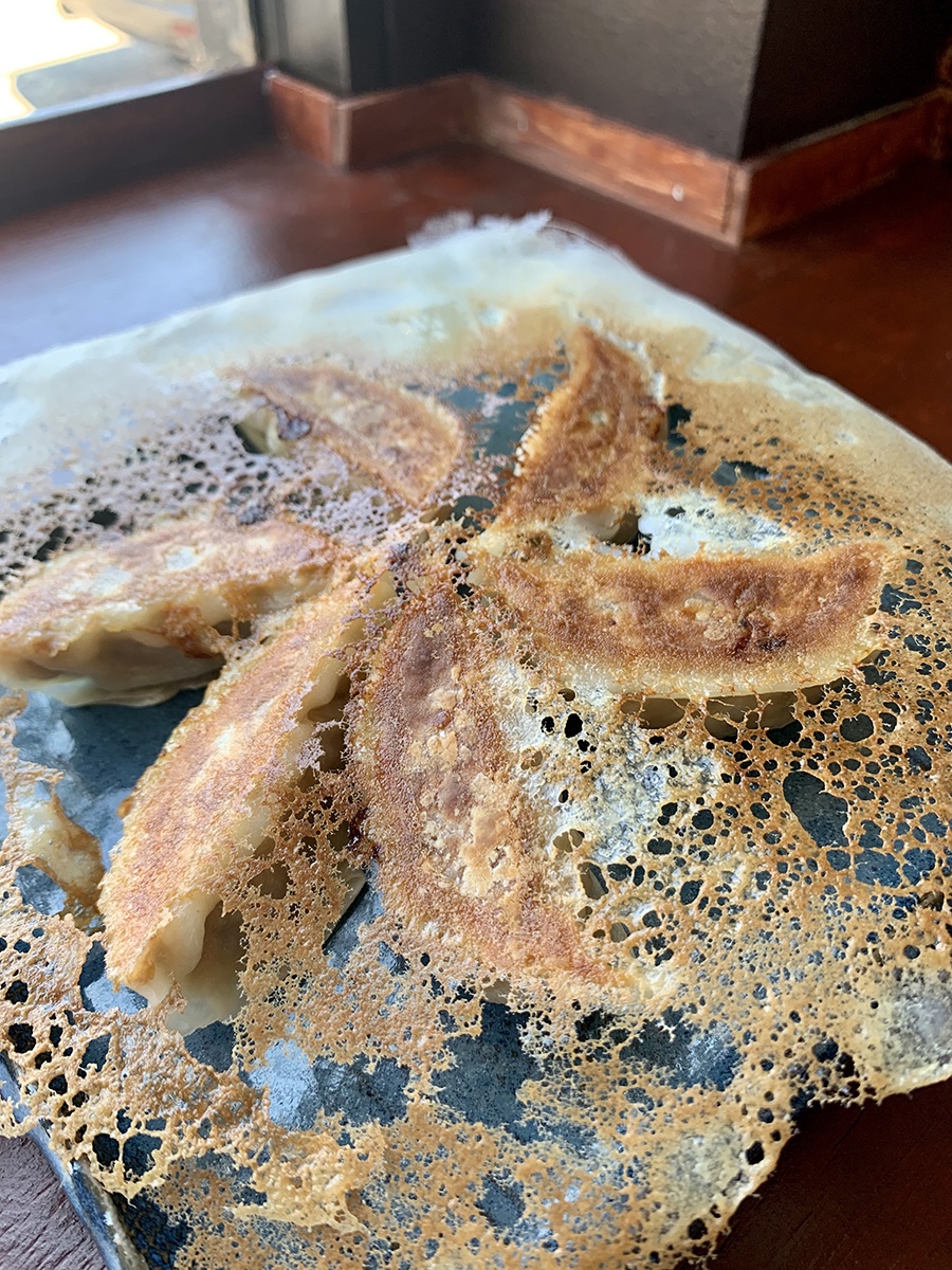 Six pan-fried gyoza sit in a circle on a plate, held together by a golden-brown, lacy skirt of dough.
