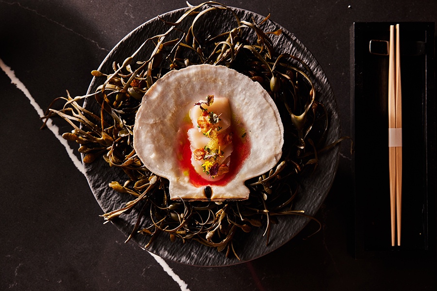 Overhead view of scallop, prepared with delicate garnishes and plated in its shell, atop a bed of kelp.