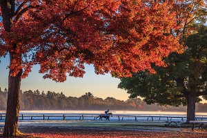 canada tours october 2023