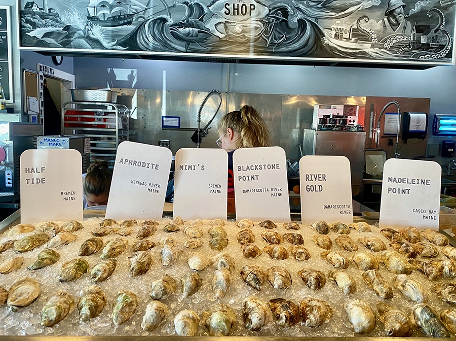 A half dozen varieties of oysters on the half shell are spread out over ice inside a shop.