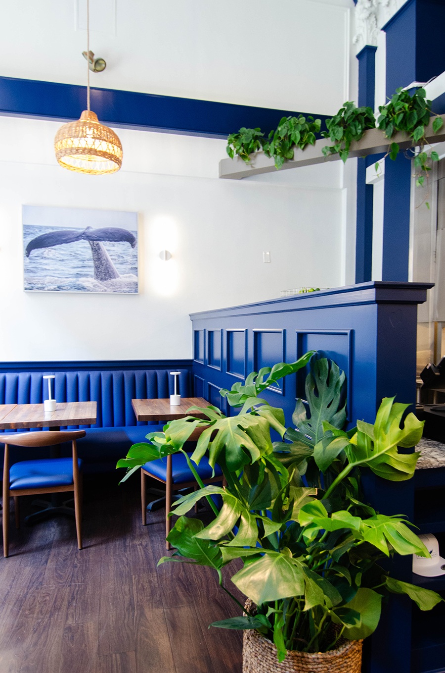 A restaurant interior features royal blue accents, art of a whale's tale, and lots of greenery.