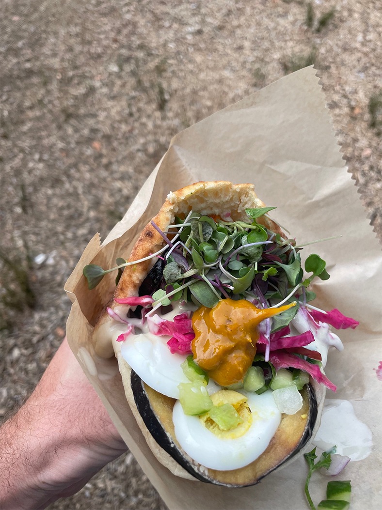 A hand holds a pita stuffed with hard boiled egg, microgreens, pickled onions, a thick orange sauce, and more.