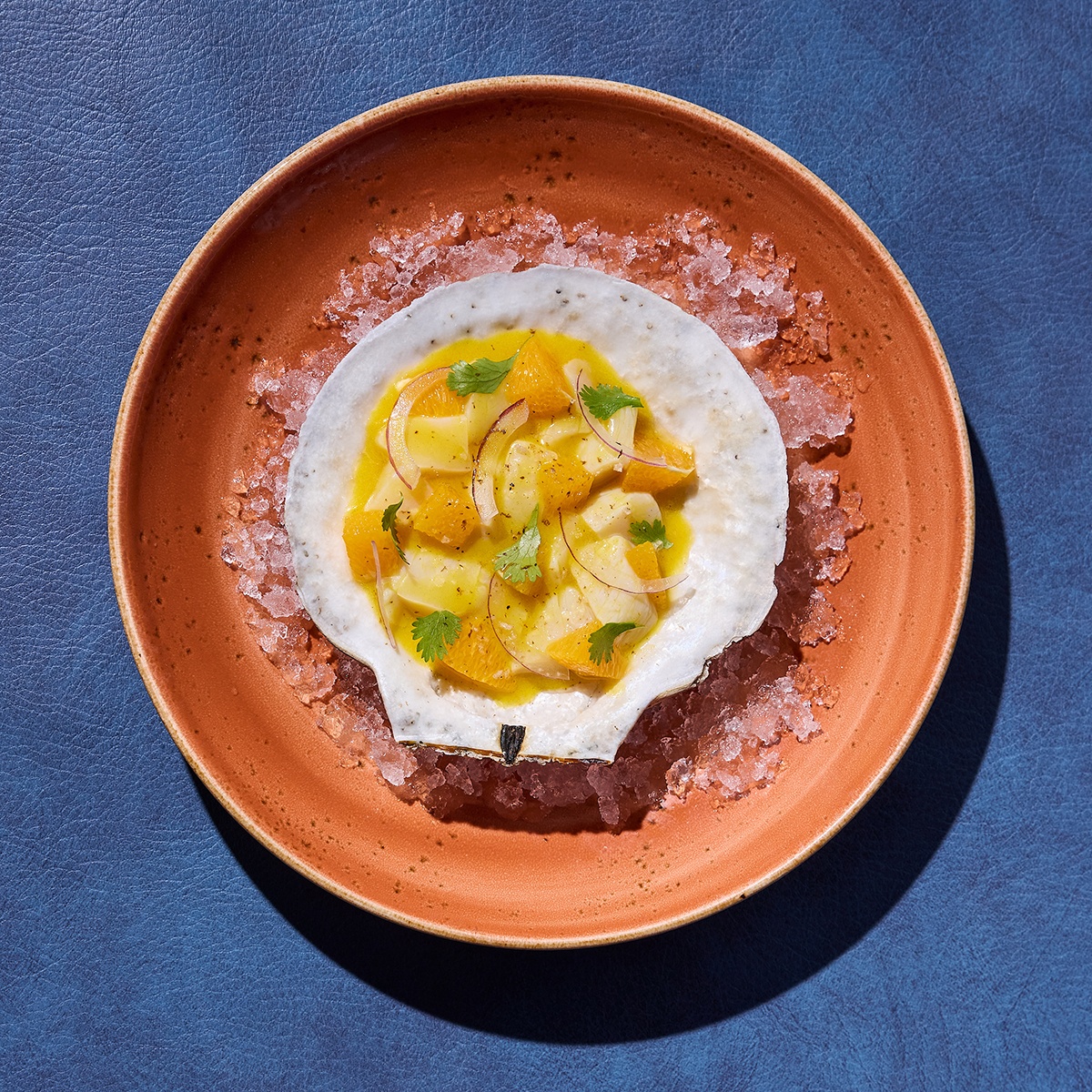 Overhead view of a crudo served in a scallop shell over ice.