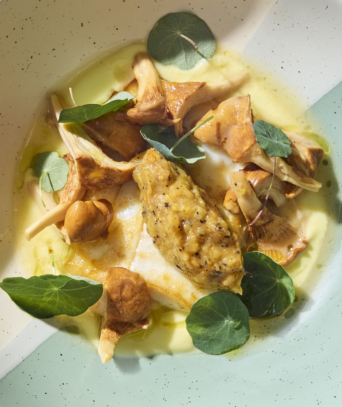 Overhead view of an elegant fish dish with mushrooms and nasturtium.