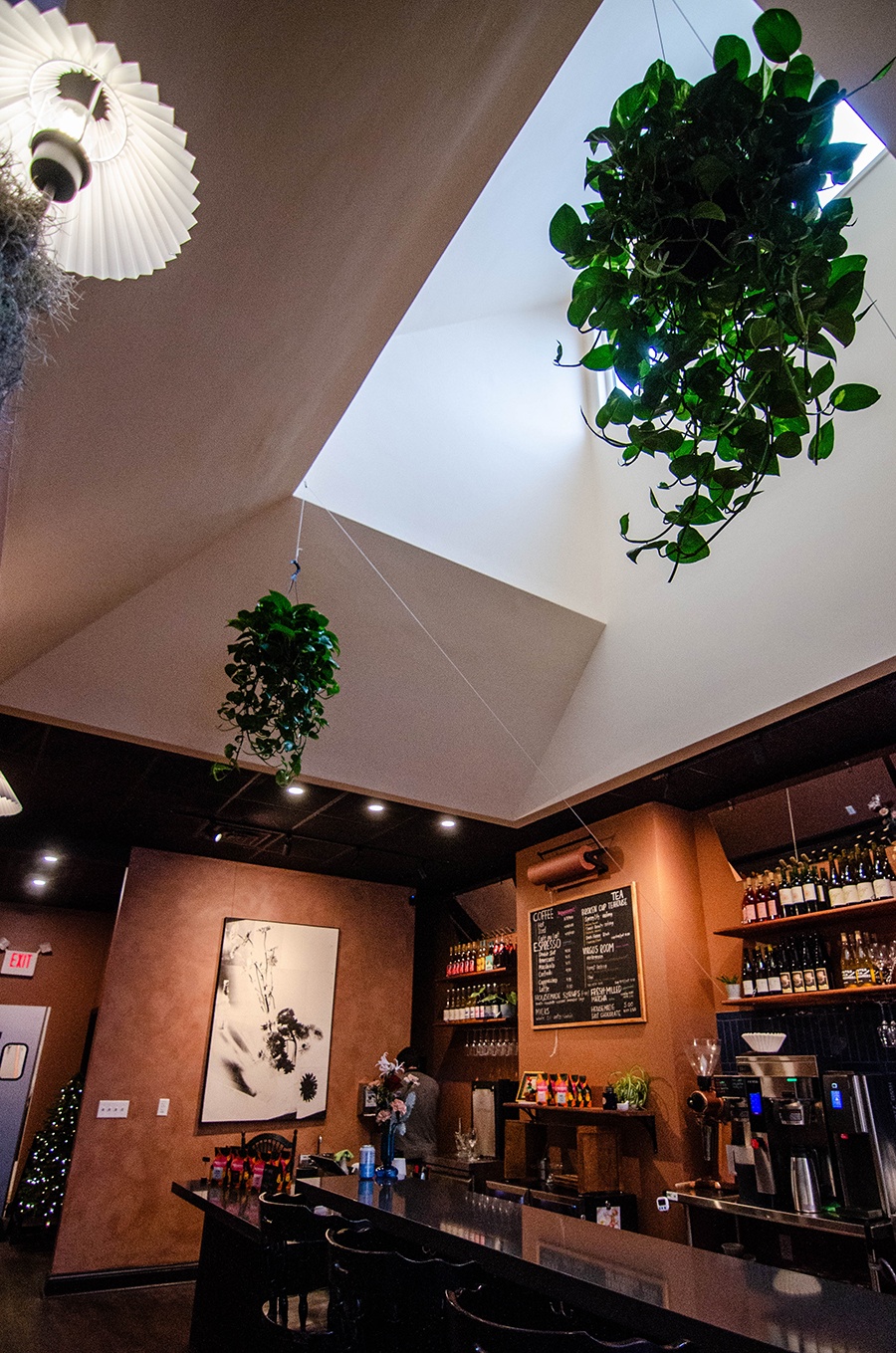 Inside of a cafe and wine bar with a dramatic skylight and hanging plants.