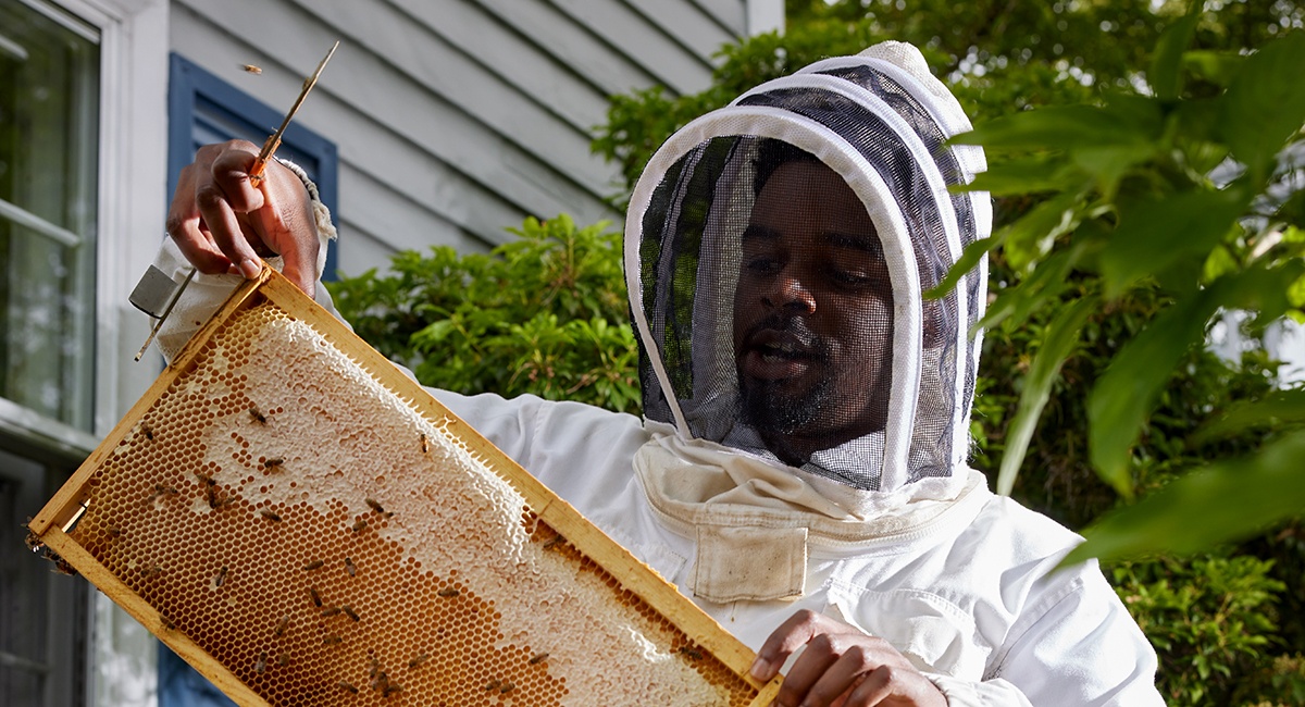 Boston’s Best Residential Beekeepers: 60 Minutes with a Bee Doctor