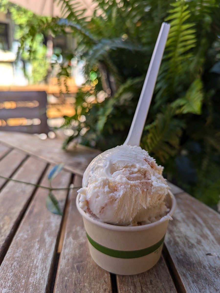 A cup of ice cream on a picnic table in front of ferns.